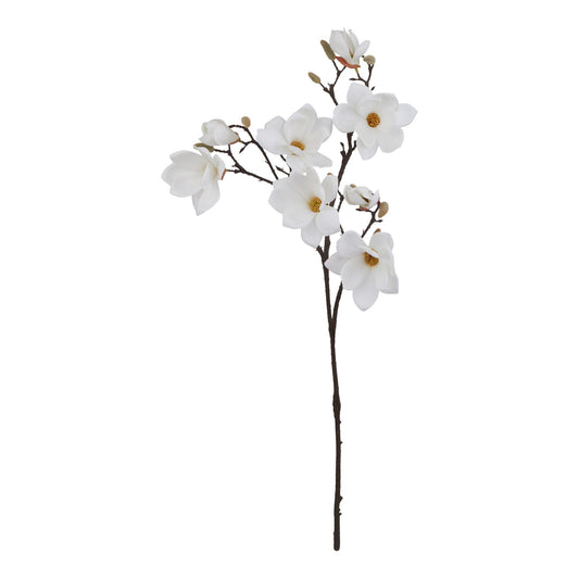Lund Natural Garden Collection White Magnolia Stem - Skandi London