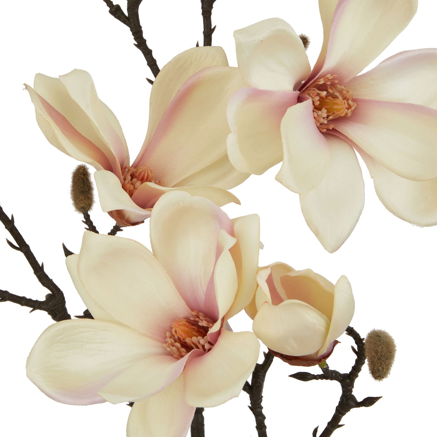 Lund Natural Garden Collection Pale Apricot Magnolia Stem - Skandi London