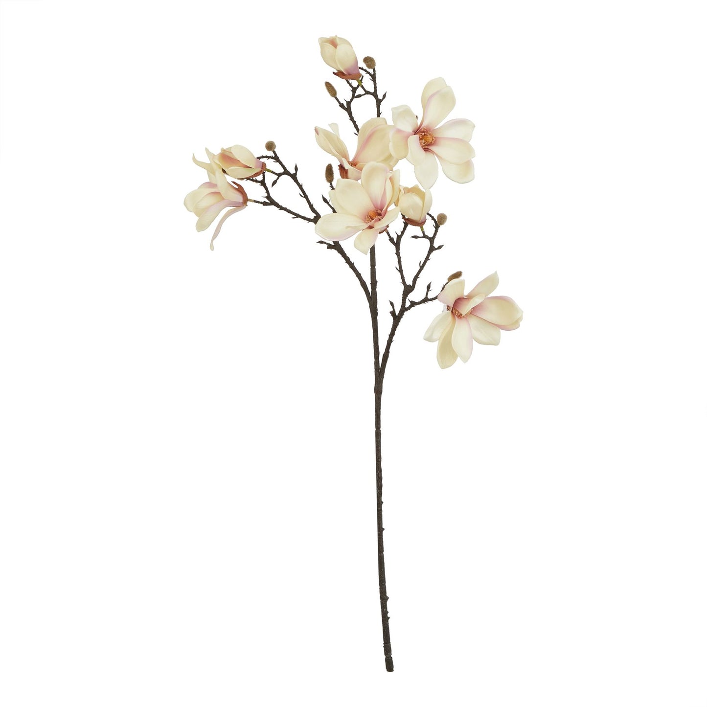 Lund Natural Garden Collection Pale Apricot Magnolia Stem - Skandi London