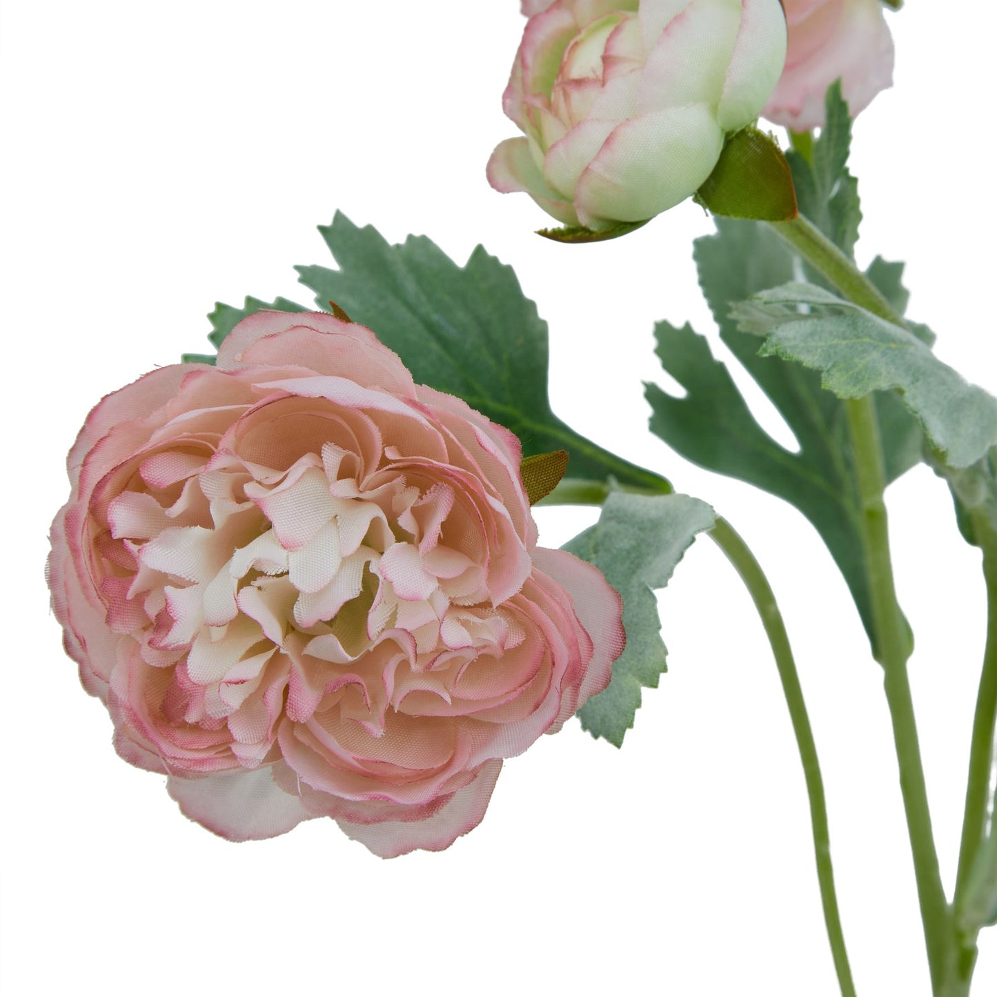 Lund Natural Garden Collection Pink Ranunculus - Skandi London