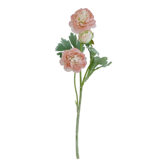Lund Natural Garden Collection Pink Ranunculus - Skandi London