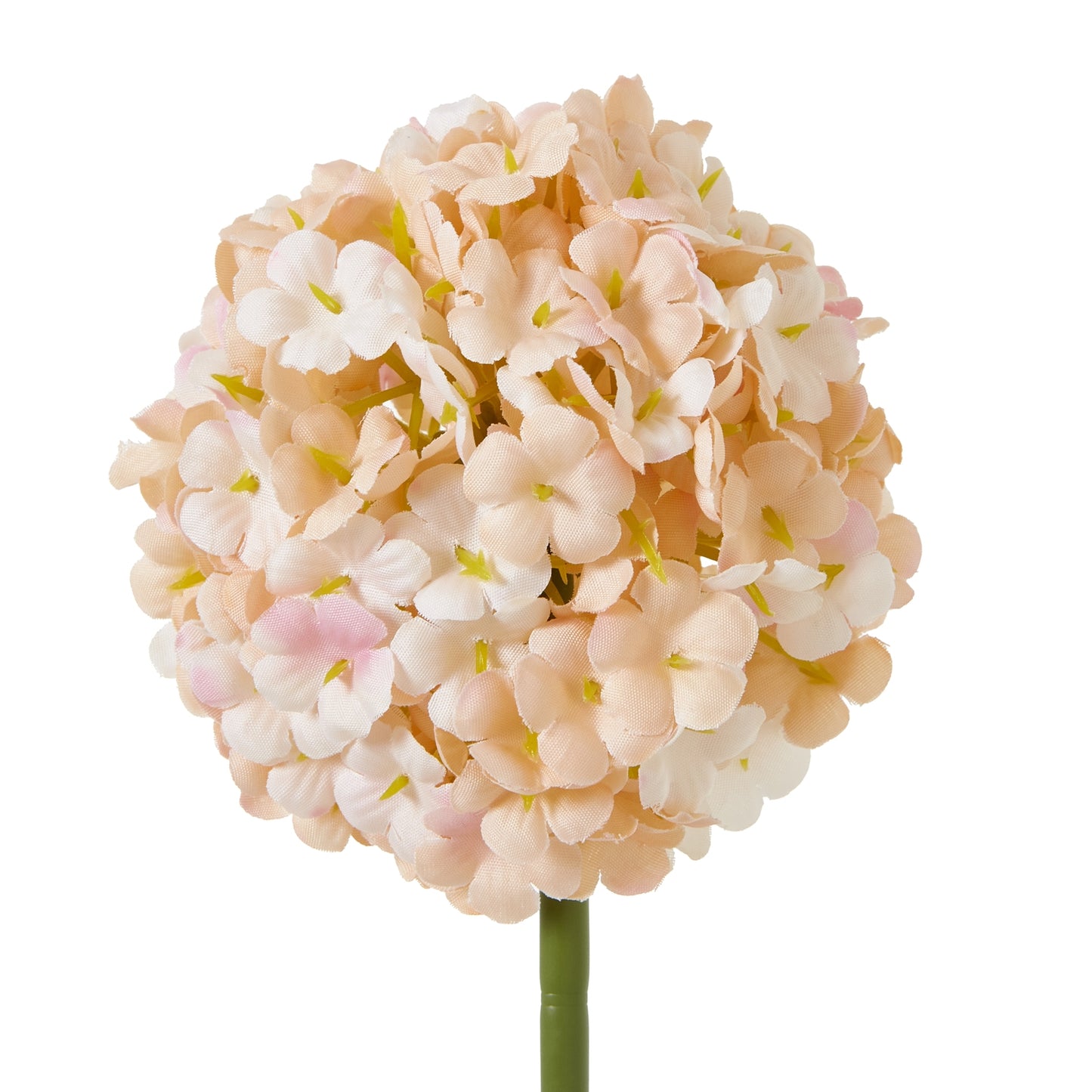 Lund Natural Garden Collection White & Apricot Allium - Skandi London