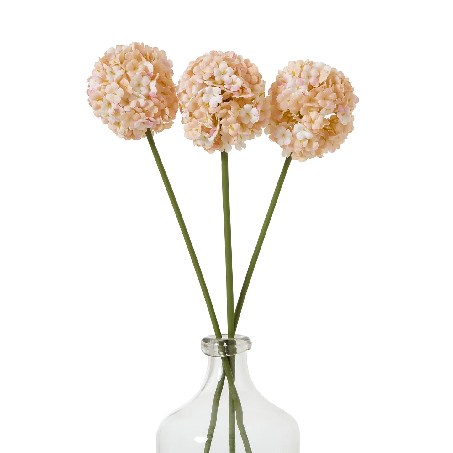 Lund Natural Garden Collection White & Apricot Allium - Skandi London