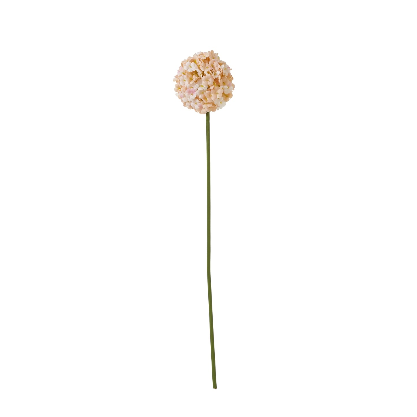 Lund Natural Garden Collection White & Apricot Allium - Skandi London