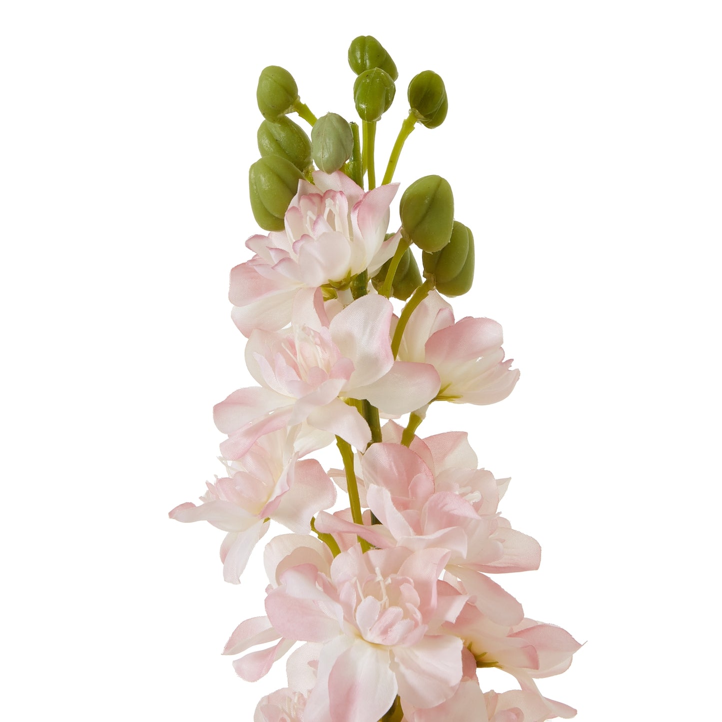 Lund Natural Garden Collection Pink Elatum Delphinium - Skandi London