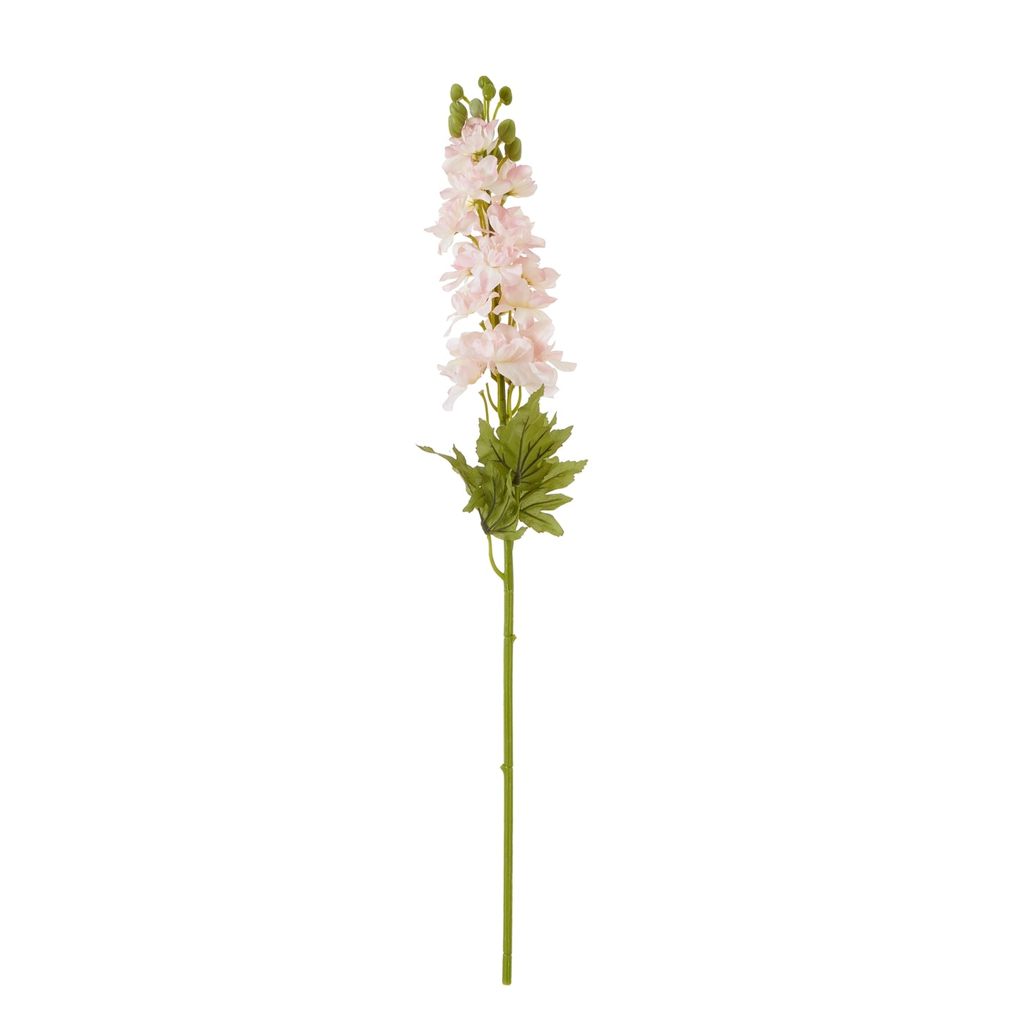 Lund Natural Garden Collection Pink Elatum Delphinium - Skandi London