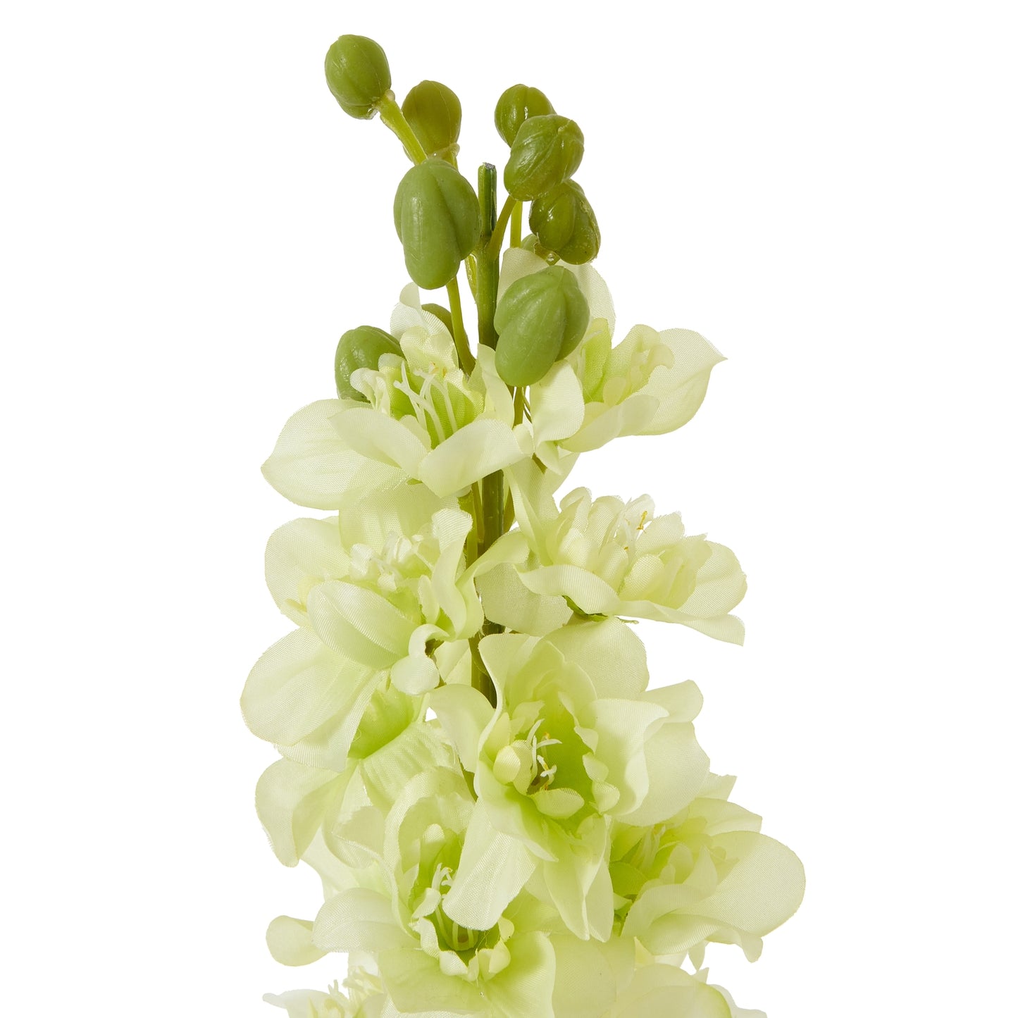 Lund Natural Garden Collection White Elatum Delphinium - Skandi London