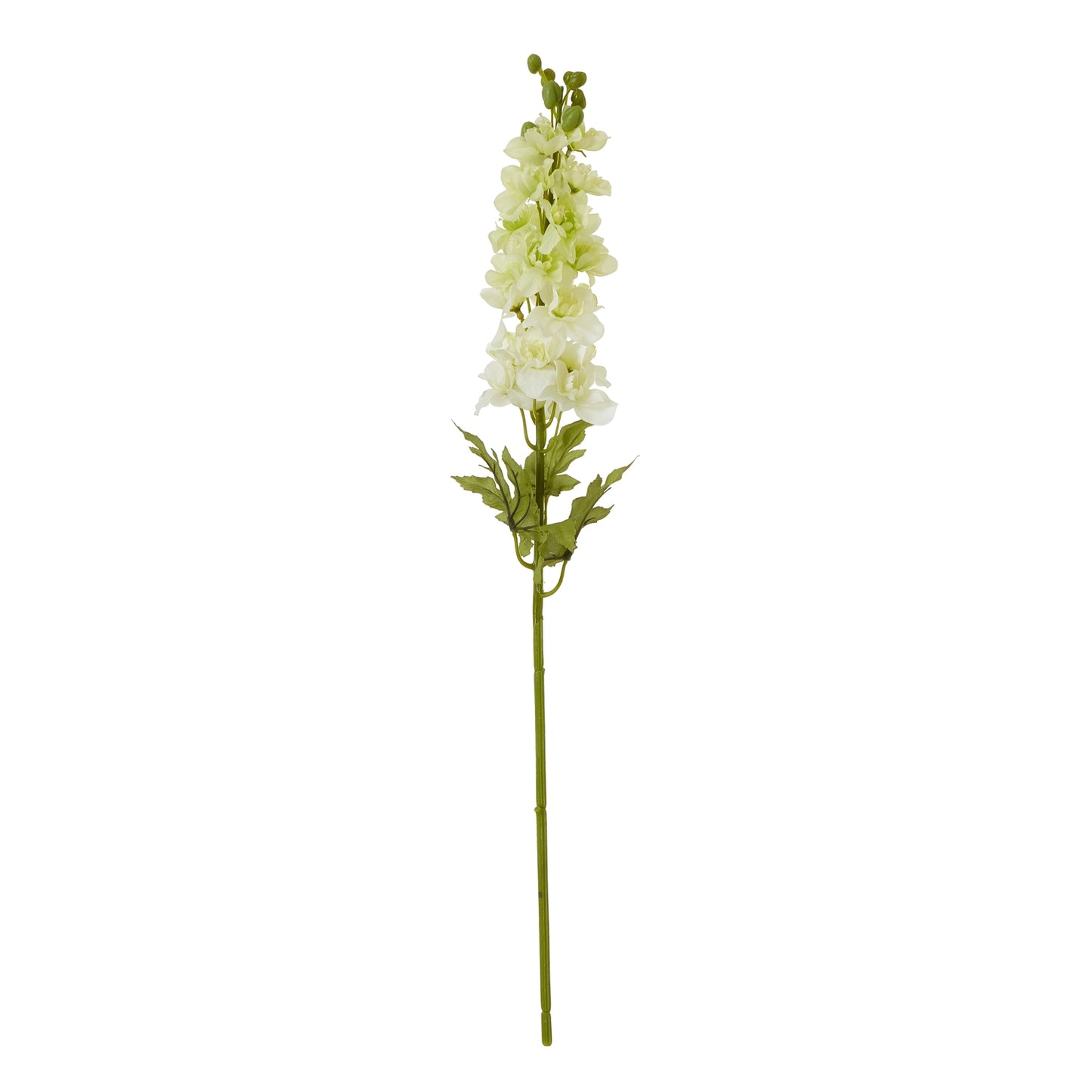 Lund Natural Garden Collection White Elatum Delphinium - Skandi London