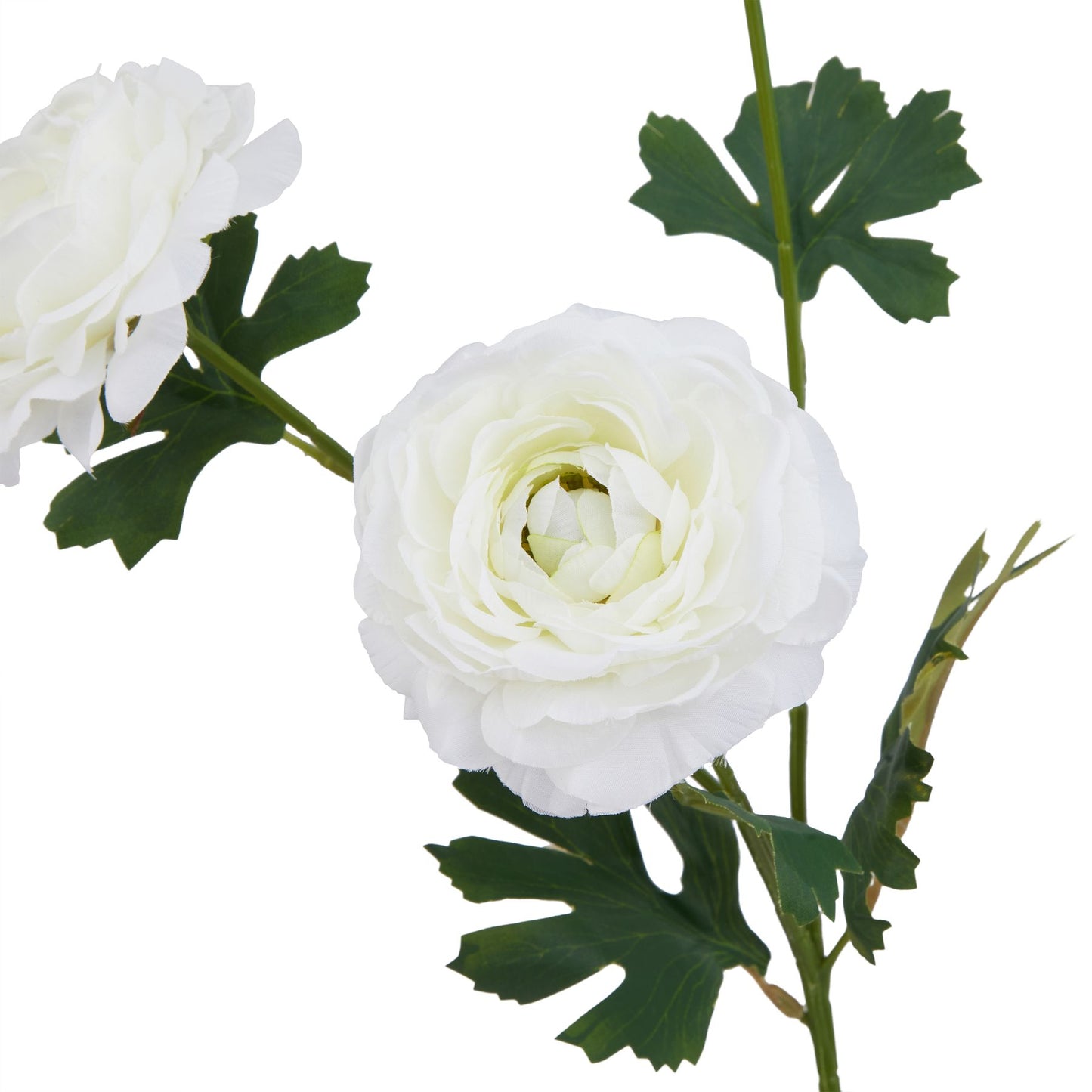 Lund Natural Garden Collection White Ranunculus - Skandi London
