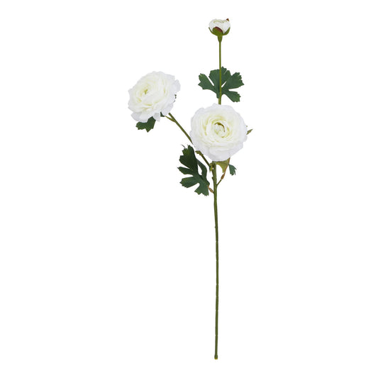 Lund Natural Garden Collection White Ranunculus - Skandi London