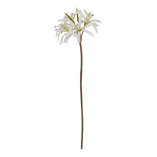 Lund Natural Garden Collection White Nerine Lily Stem - Skandi London