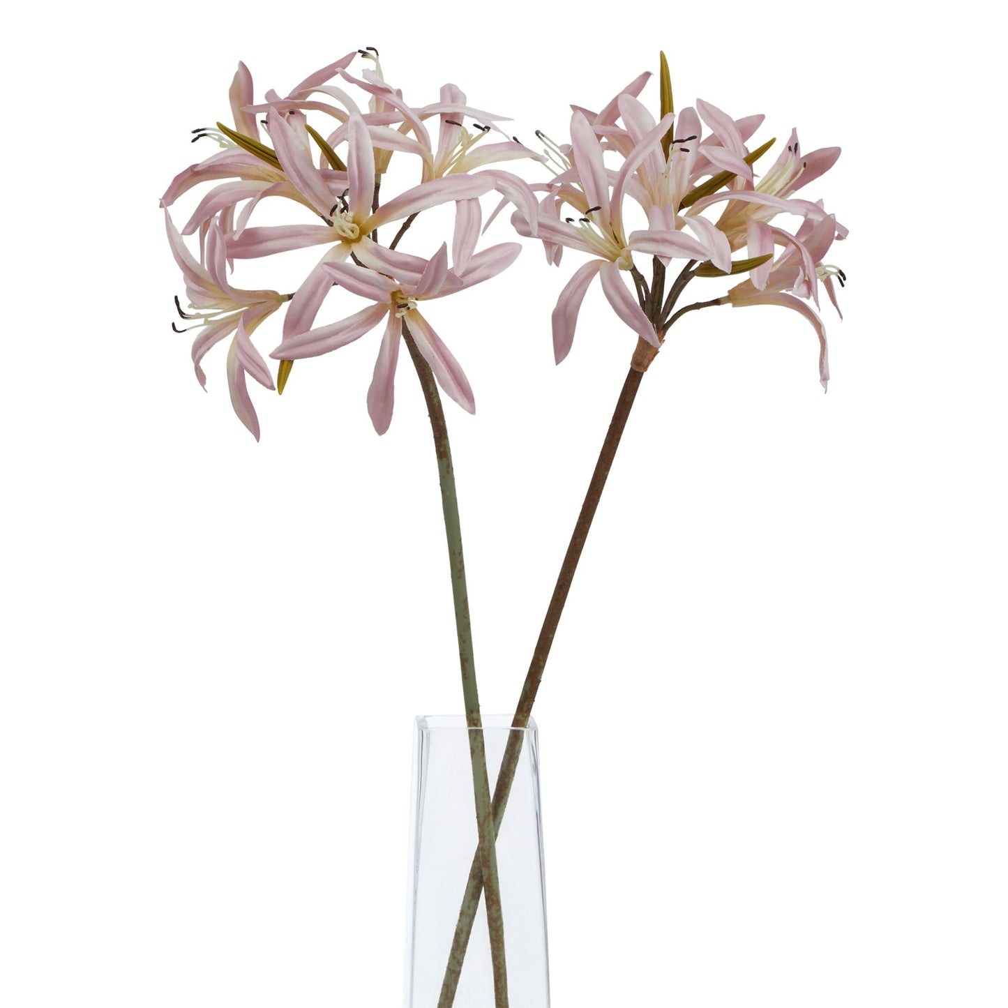 Lund Natural Garden Collection Pink Lily Stem - Skandi London