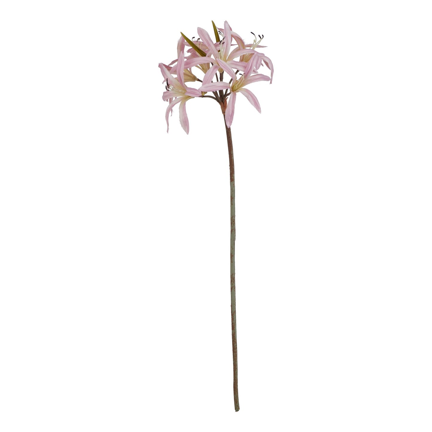 Lund Natural Garden Collection Pink Lily Stem - Skandi London