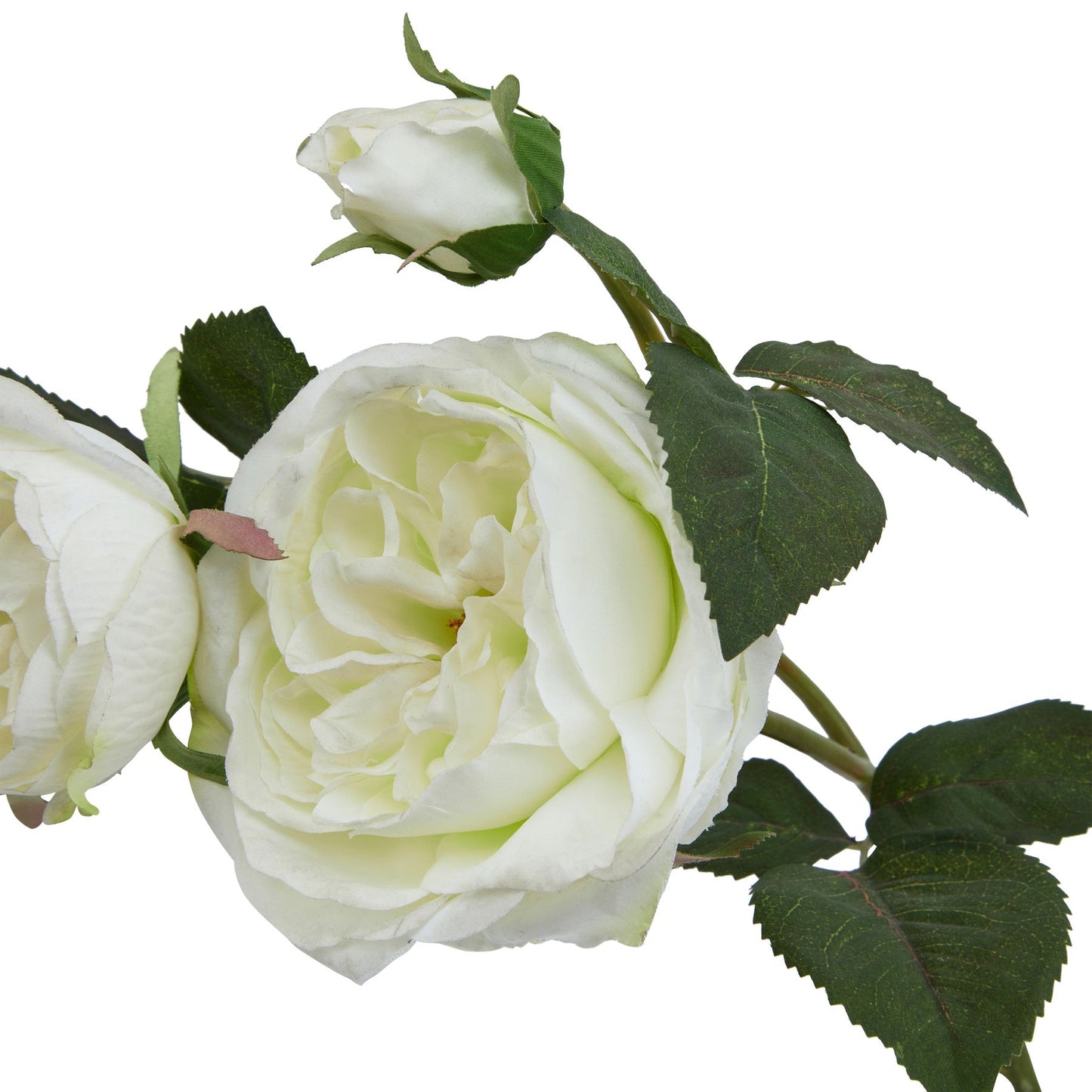 Lund Natural Garden Collection White Charity Rose - Skandi London