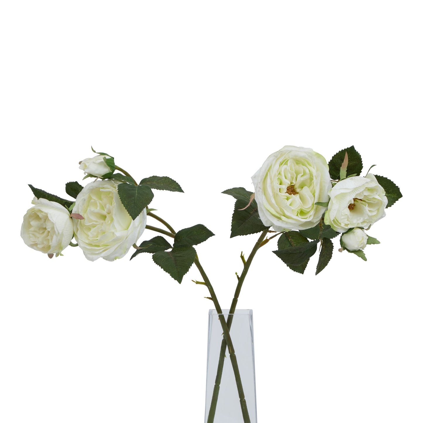 Lund Natural Garden Collection White Charity Rose - Skandi London