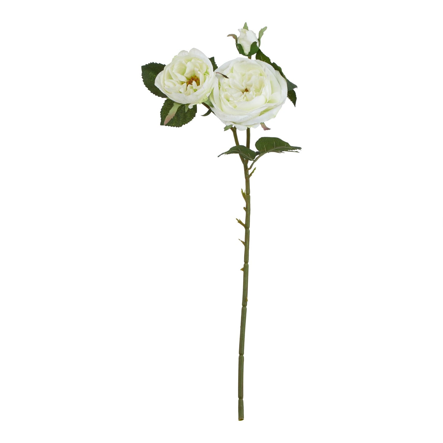 Lund Natural Garden Collection White Charity Rose - Skandi London