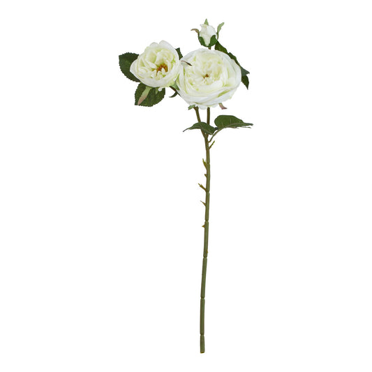 Lund Natural Garden Collection White Charity Rose - Skandi London