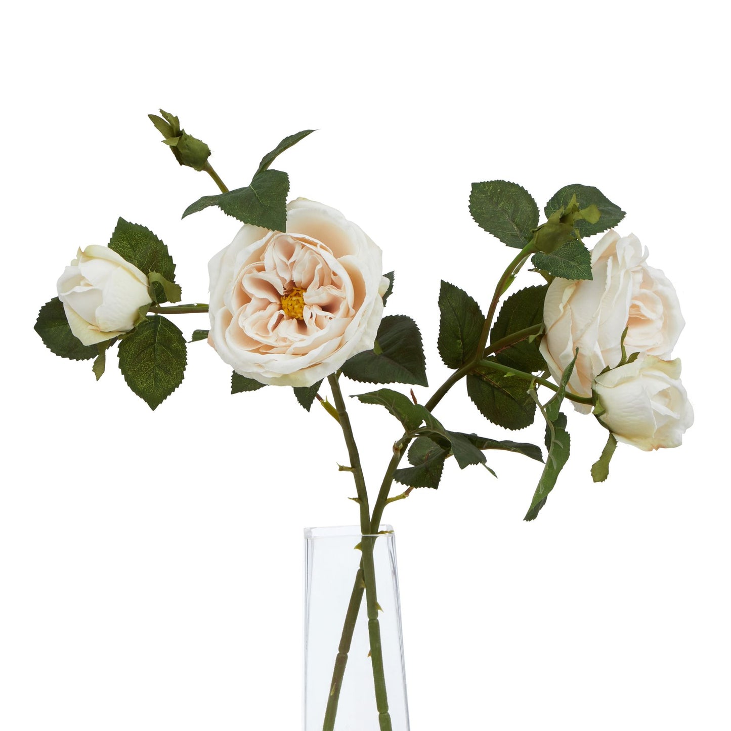 Lund Natural Garden Collection Palest Blush Charity Rose - Skandi London