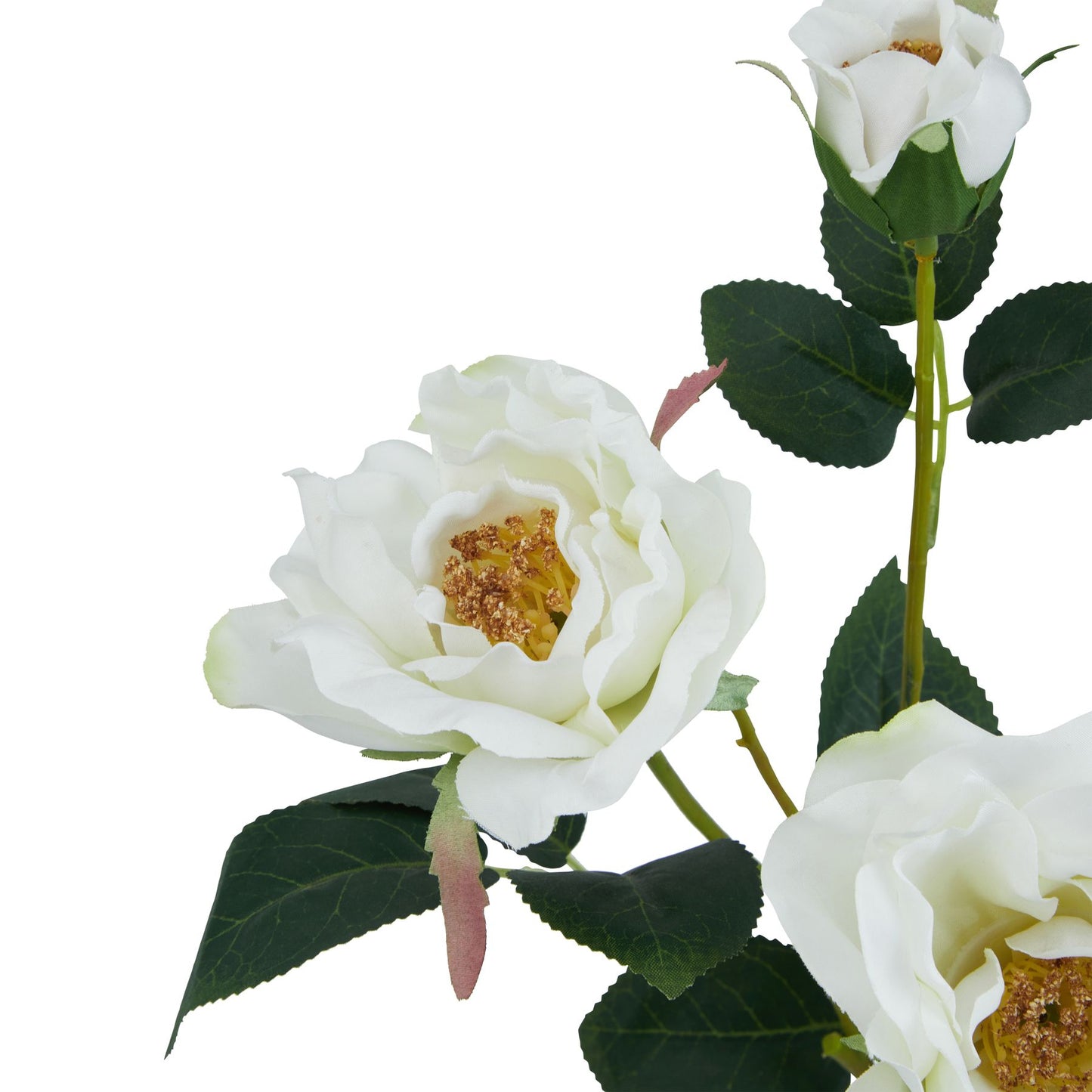 Lund Natural Garden Collection White Tea Rose - Skandi London