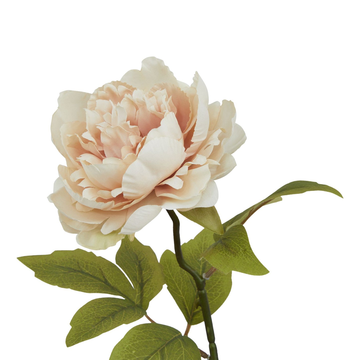 Lund Natural Garden Collection Blush Peony - Skandi London