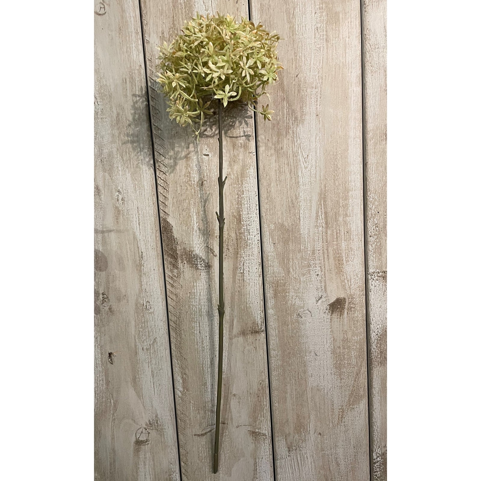 Skandi London Green And Beige Allium - Skandi London