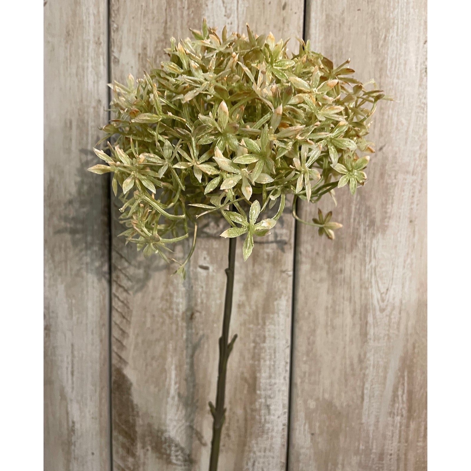 Skandi London Green And Beige Allium - Skandi London
