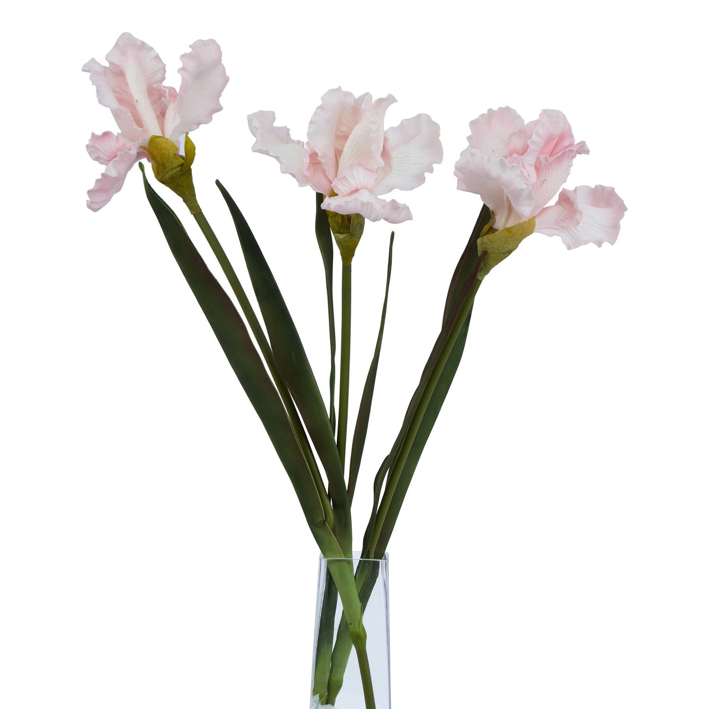 Lund Natural Garden Collection Pale Pink Fringed Iris - Skandi London