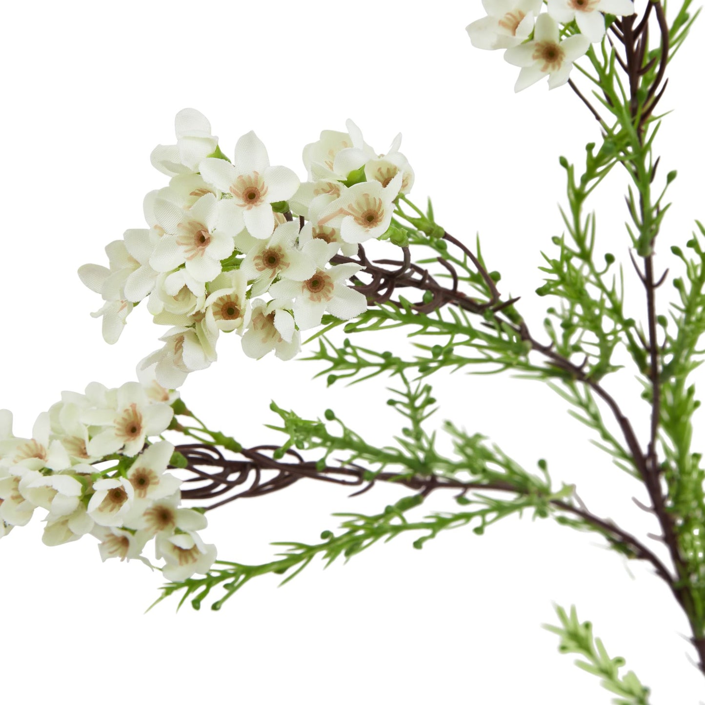 Lund Natural Garden Collection White Waxflower - Skandi London