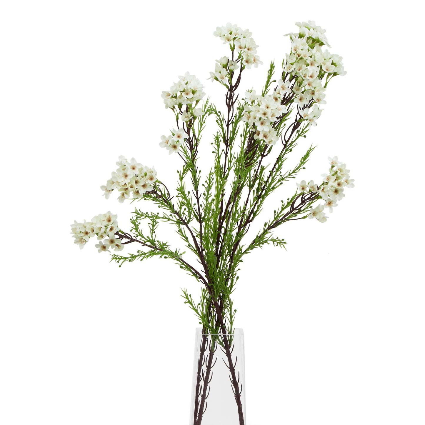 Lund Natural Garden Collection White Waxflower - Skandi London