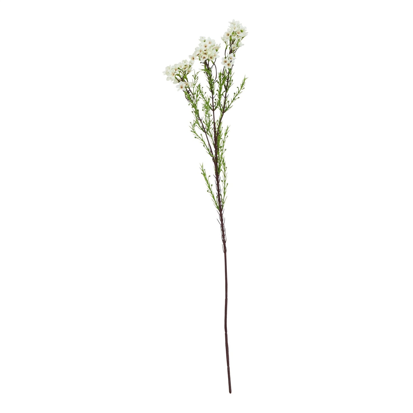 Lund Natural Garden Collection White Waxflower - Skandi London