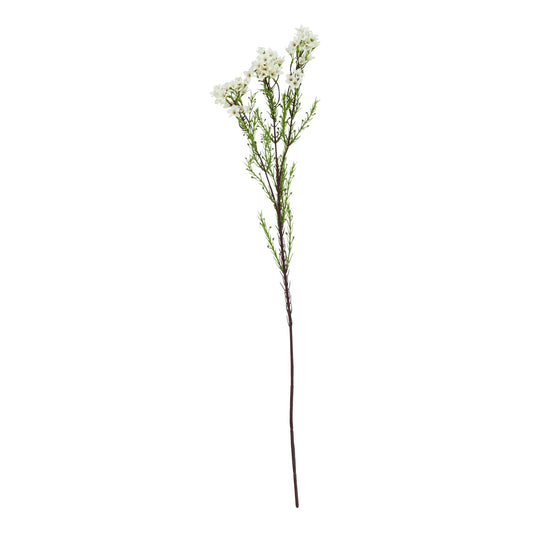 Lund Natural Garden Collection White Waxflower - Skandi London