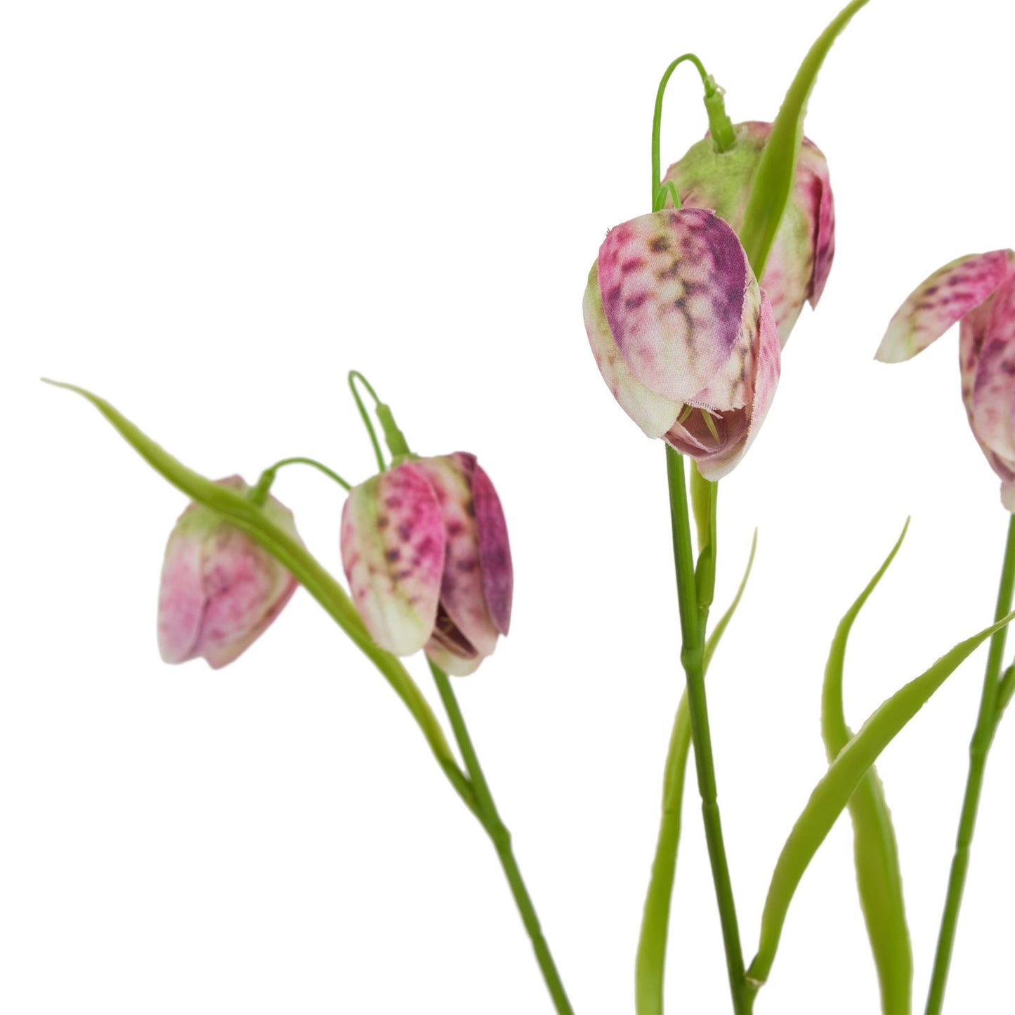 Lund Natural Garden Collection Purple Fritillaria Stem - Skandi London