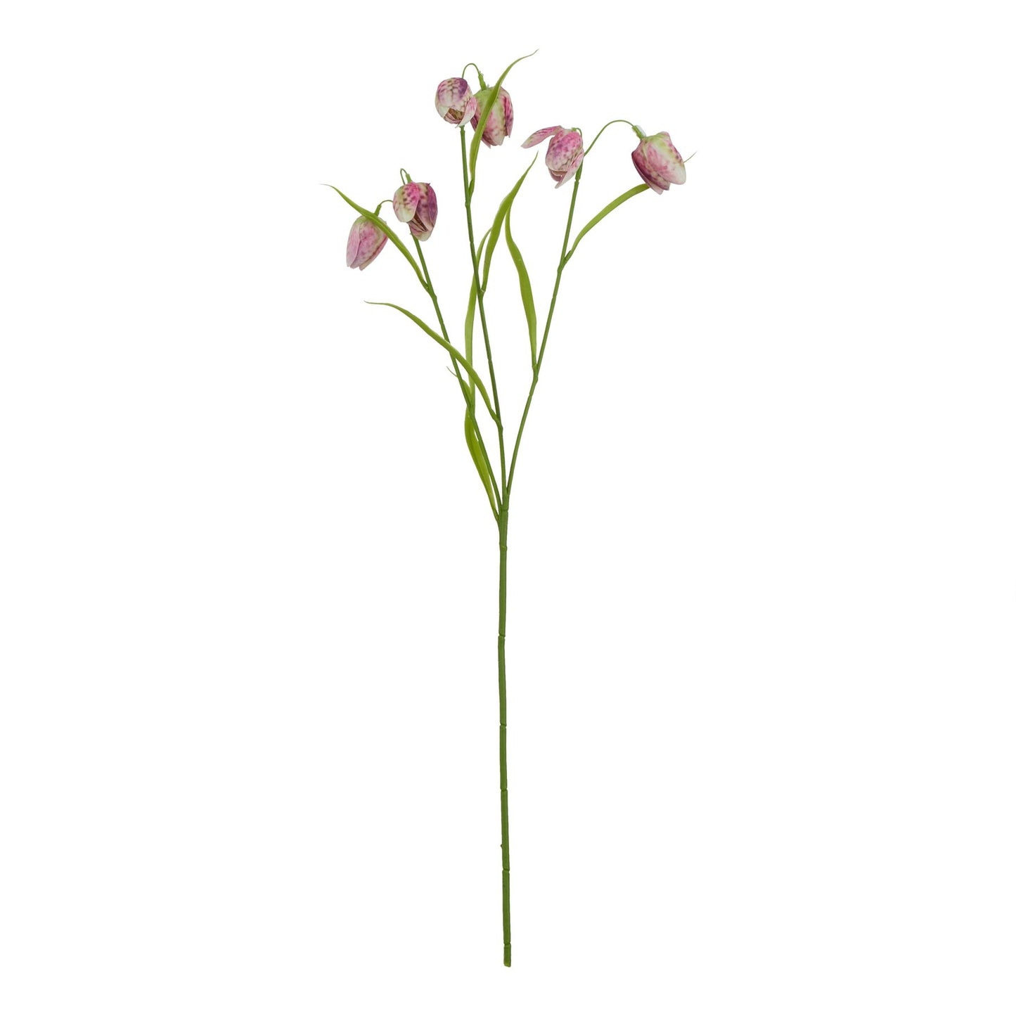 Lund Natural Garden Collection Purple Fritillaria Stem - Skandi London