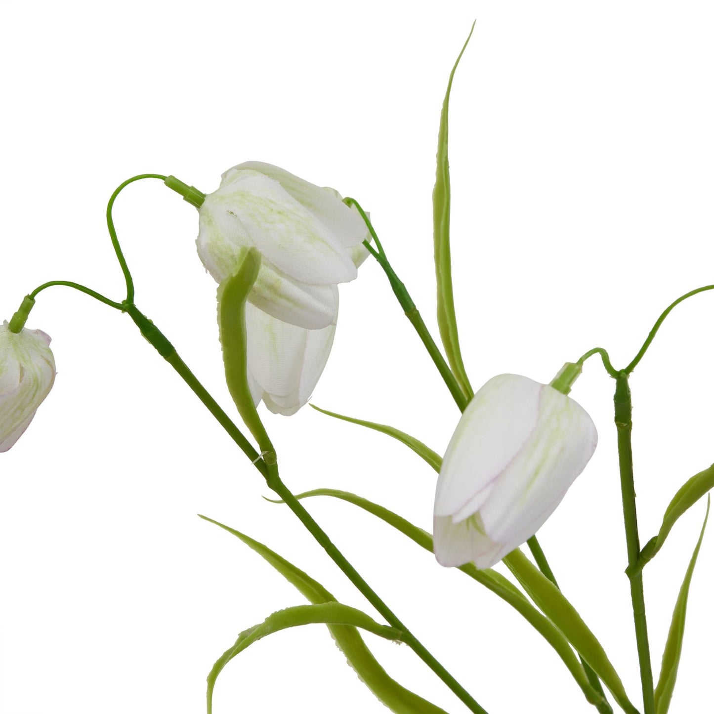 Lund Natural Garden Collection White Fritillaria Stem - Skandi London
