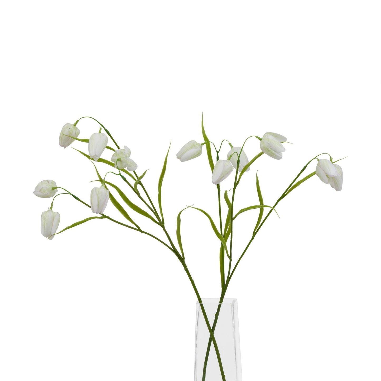 Lund Natural Garden Collection White Fritillaria Stem - Skandi London