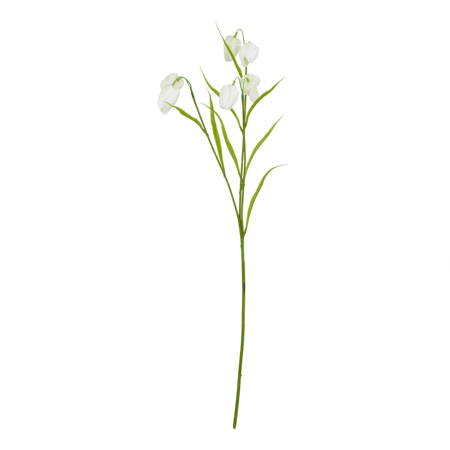 Lund Natural Garden Collection White Fritillaria Stem - Skandi London
