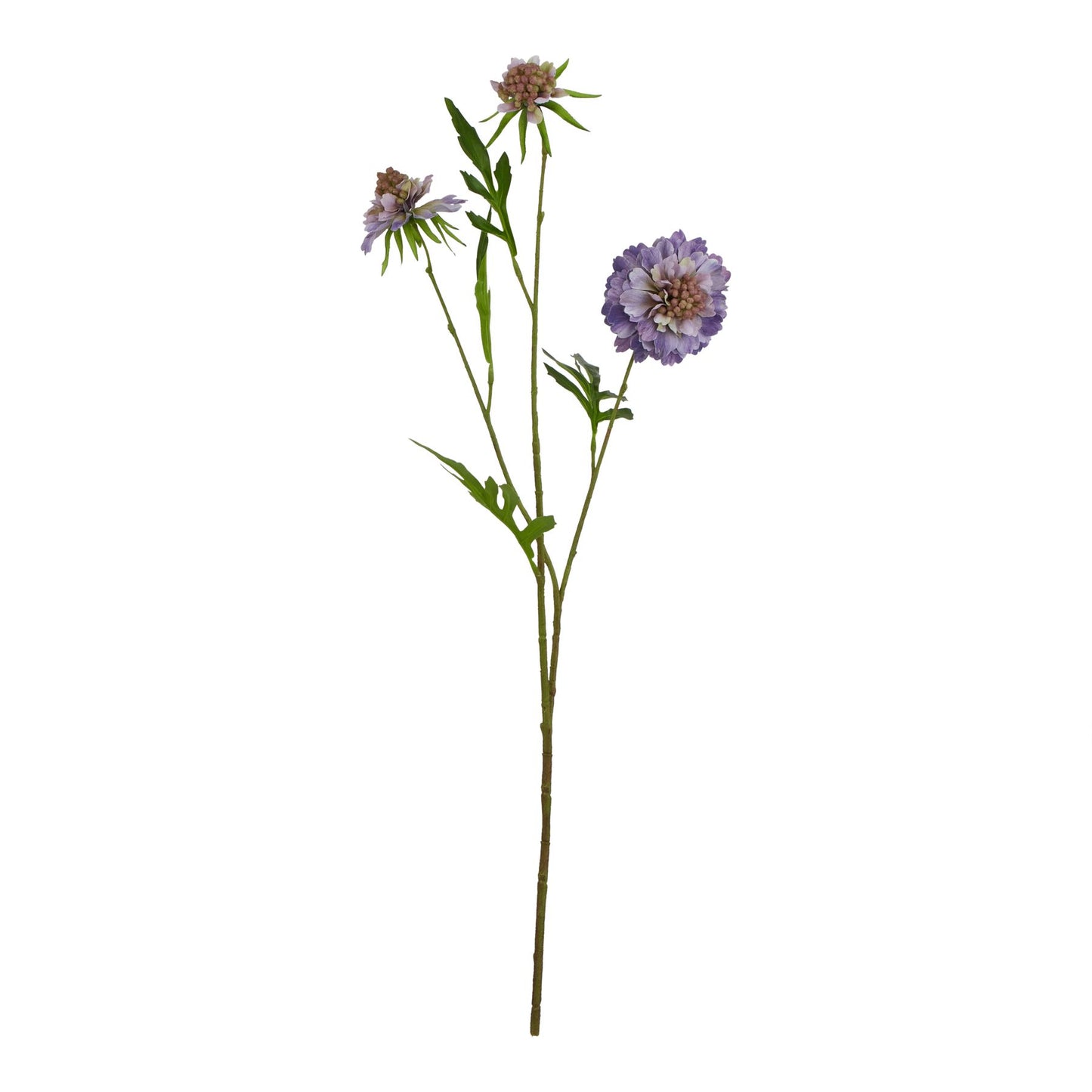 Lund Natural Garden Collection Purple Scabious Stem - Skandi London