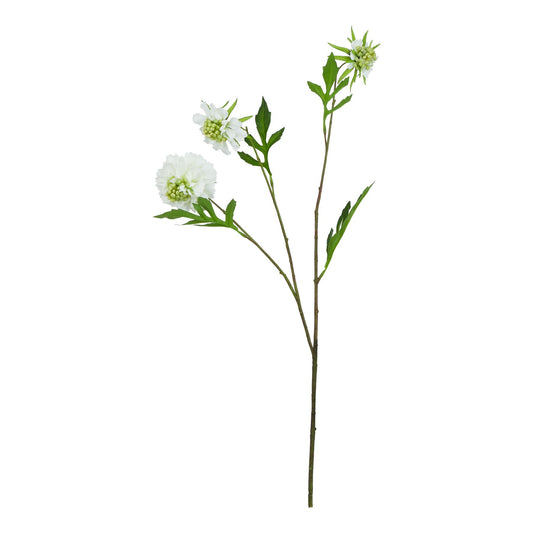 Lund Natural Garden Collection White Scabious Stem - Skandi London
