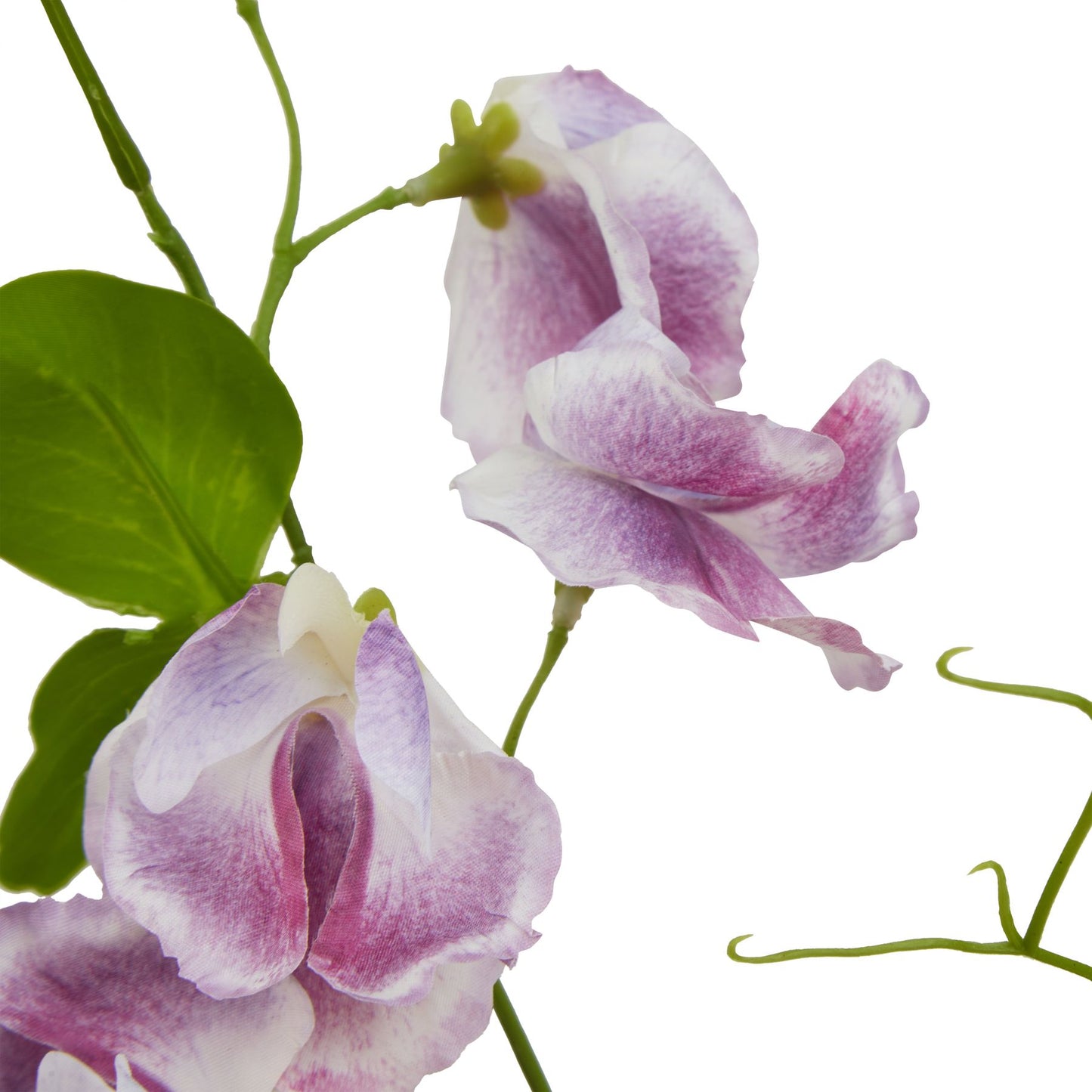 Lund Natural Garden Collection Purple Sweetpea Stem - Skandi London