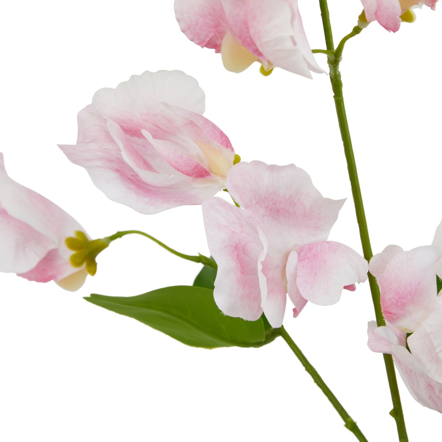 Lund Natural Garden Collection Pale Pink Sweetpea Stem - Skandi London