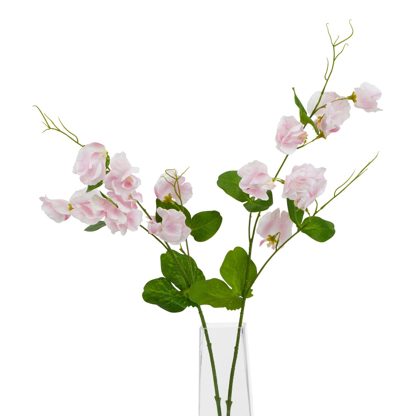 Lund Natural Garden Collection Pale Pink Sweetpea Stem - Skandi London