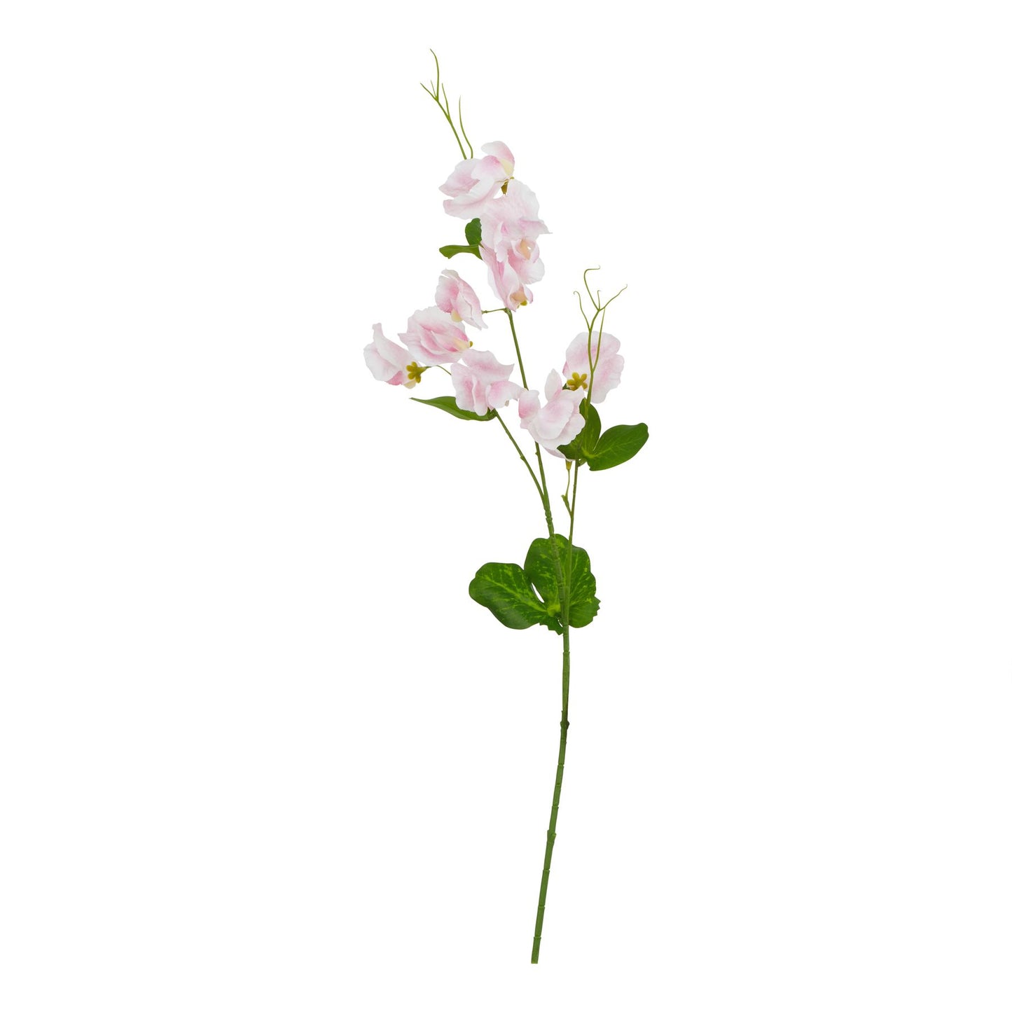 Lund Natural Garden Collection Pale Pink Sweetpea Stem - Skandi London