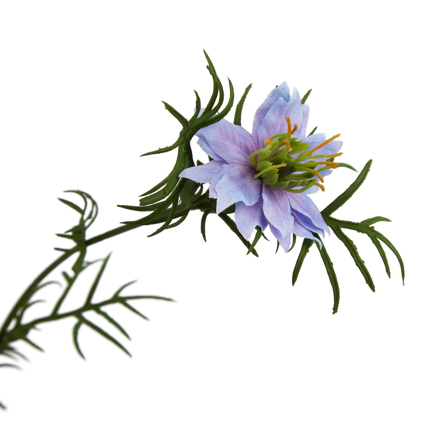 Lund Natural Garden Collection Purple Nigella Love In A Mist - Skandi London