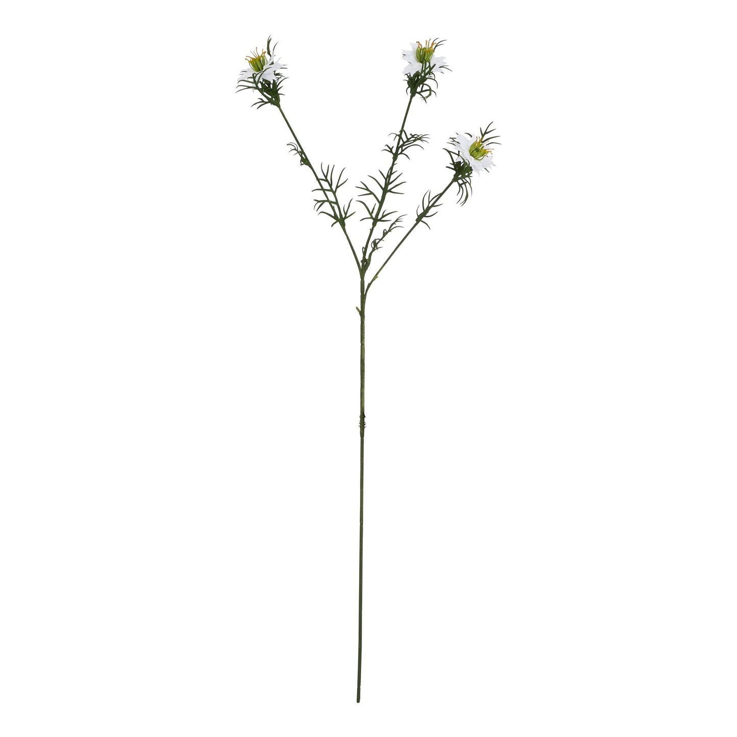 Lund Natural Garden Collection White Nigella Love In A Mist - Skandi London