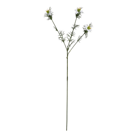 Lund Natural Garden Collection White Nigella Love In A Mist - Skandi London