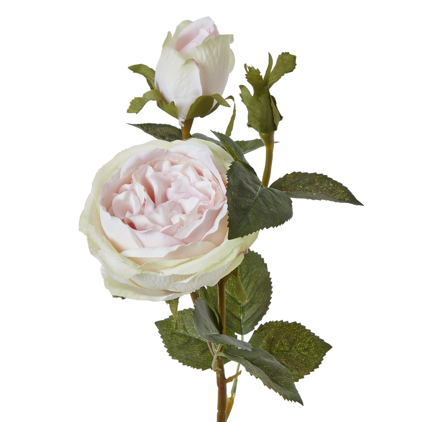 Lund Natural Garden Collection Pink Charity Rose - Skandi London