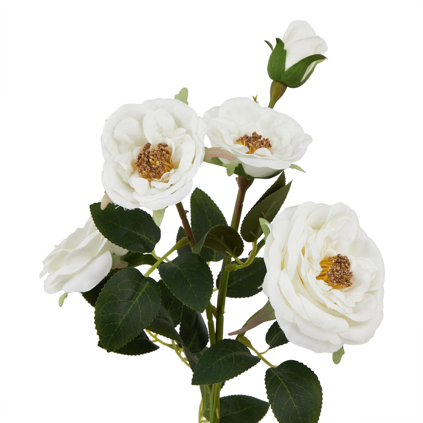 Lund Natural Garden Collection White Hedge Rose Stem - Skandi London