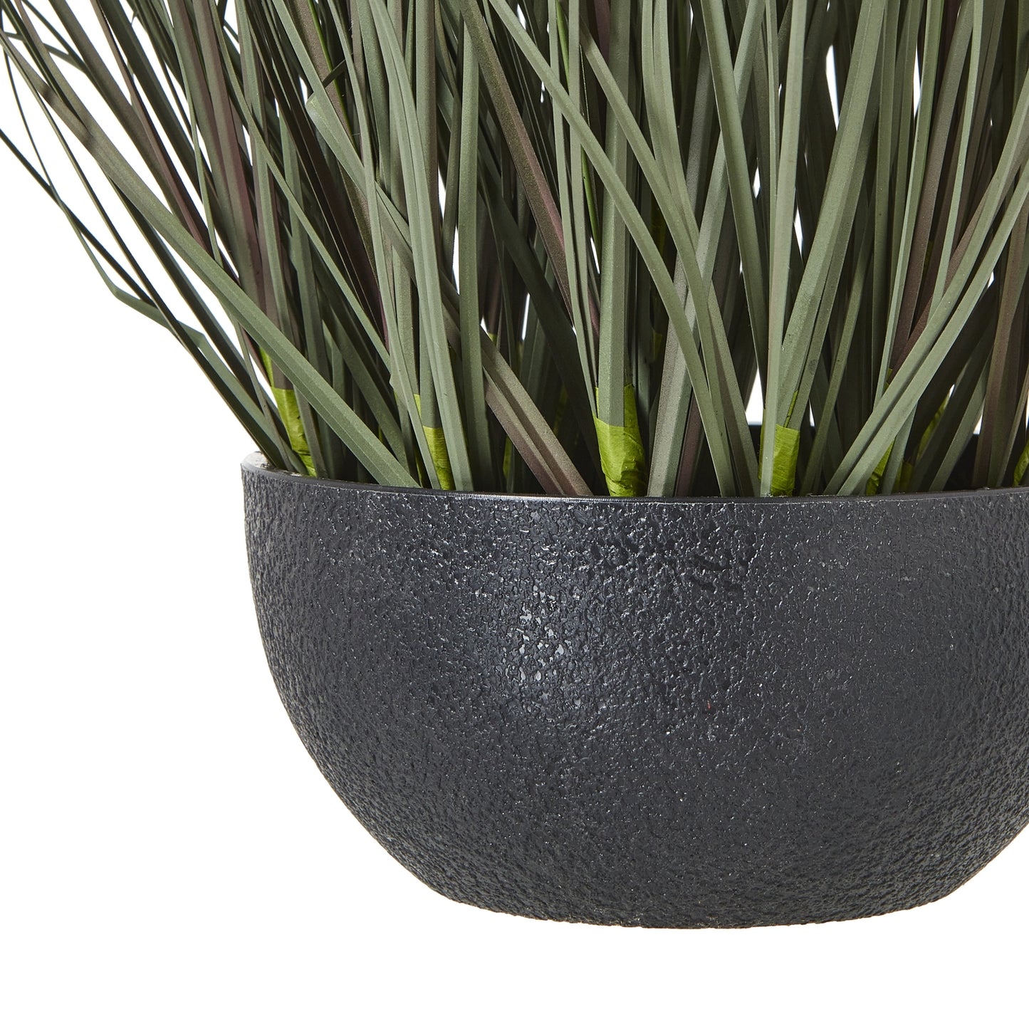 Fountain Grass Plant In Pot - Skandi London