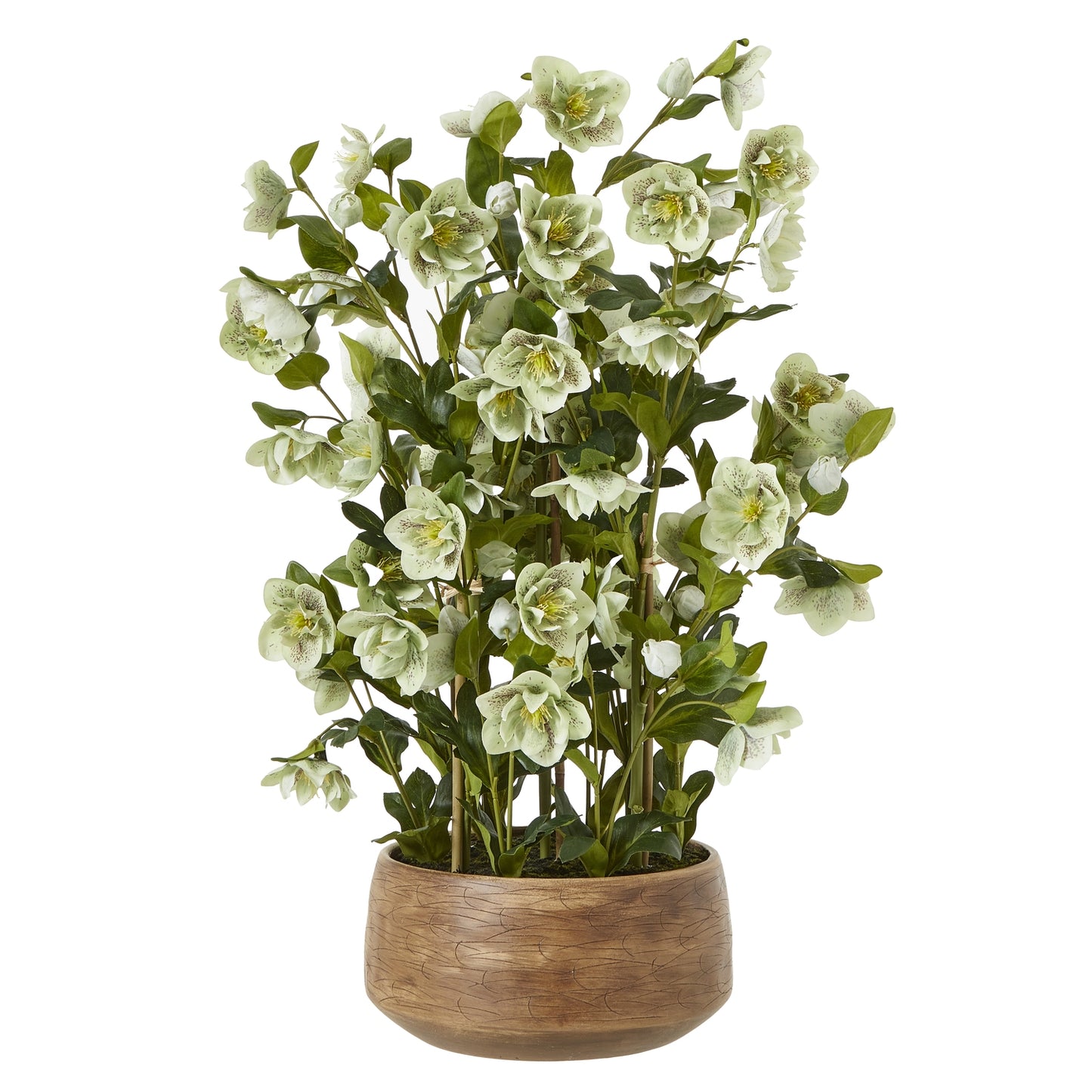Large Green Hellebore in Taupe Pot - Skandi London