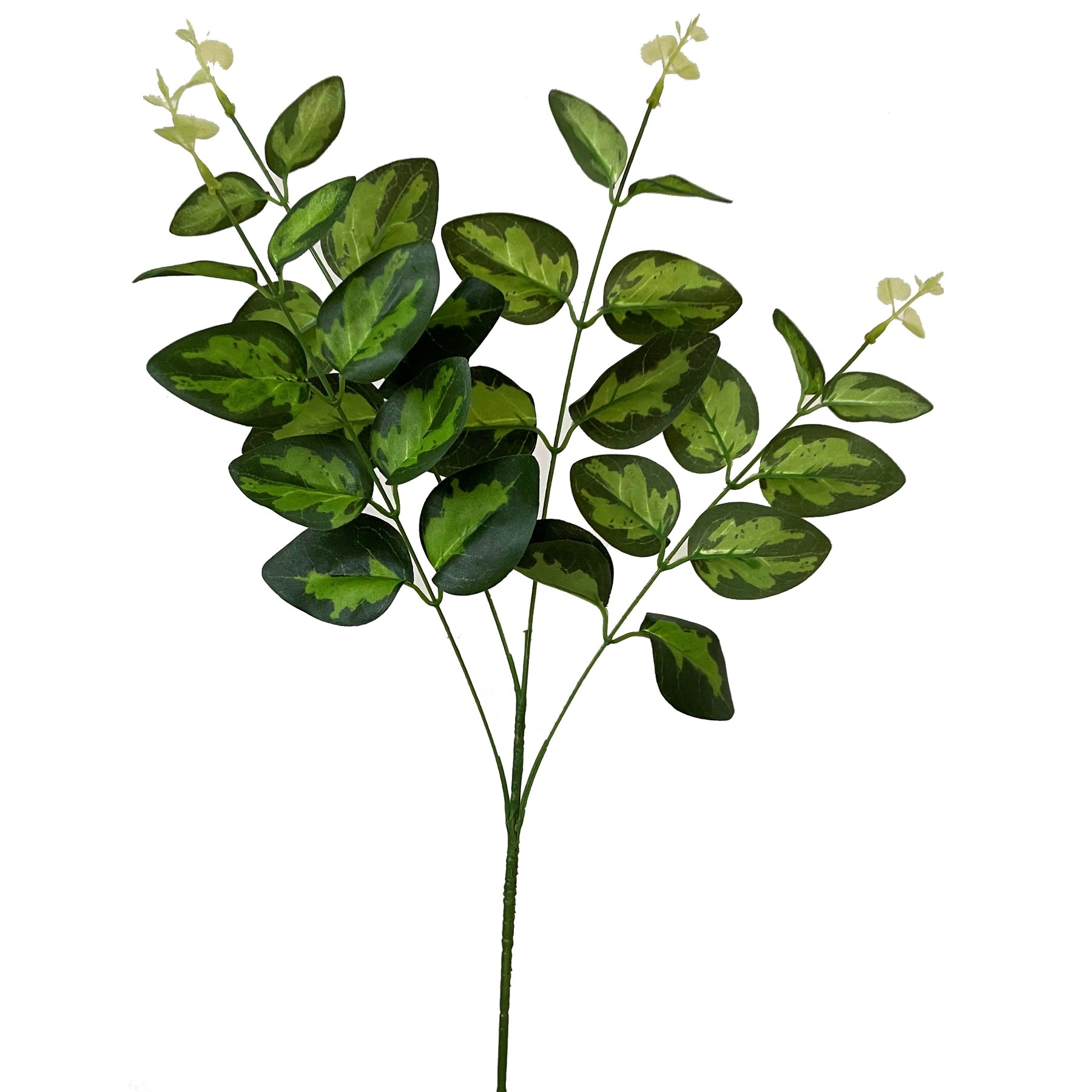 Skandi London Variegated Leaf Spray - Skandi London